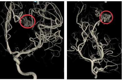 1729768843993.jpg 1729768843993.jpg