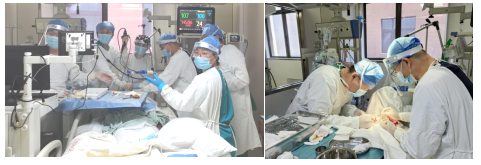 1729769023541.jpg 1729769023541.jpg