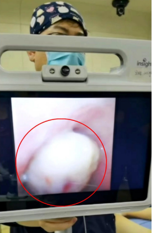 图片5.png 图片5.png