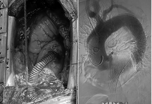 图片7.png 图片7.png