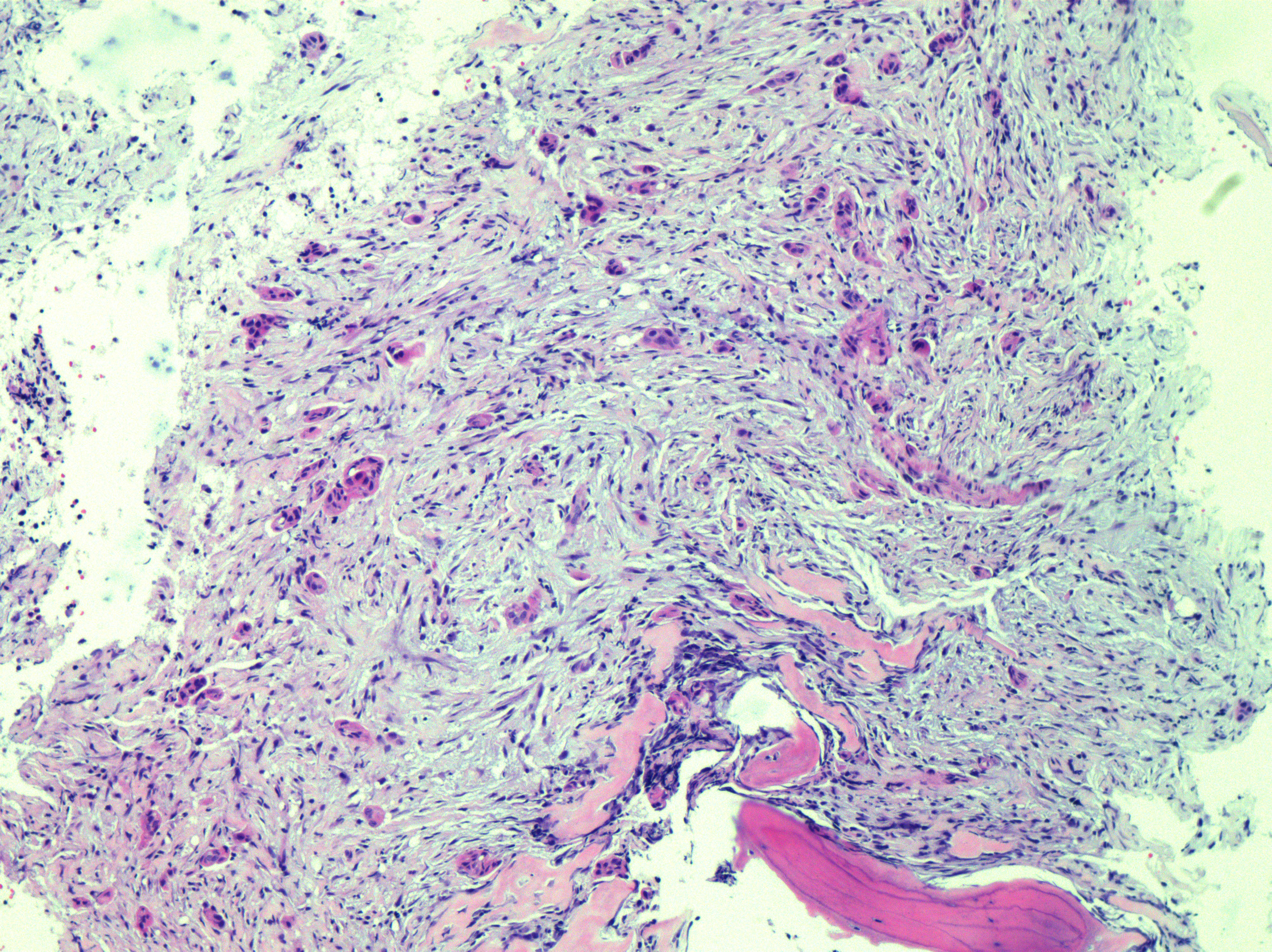 图片5.png 图片5.png