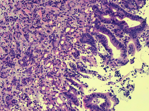 图片7.png 图片7.png