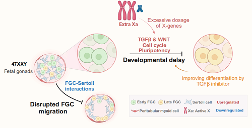 图片9.png 图片9.png