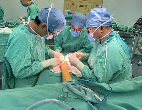 图片4.png 图片4.png