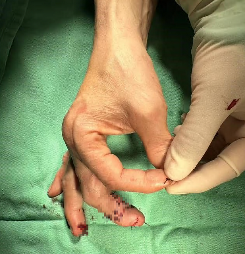 图片5.png 图片5.png