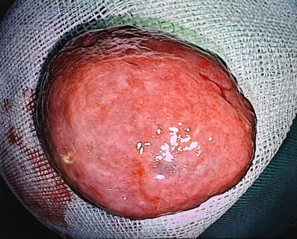 图片6.png 图片6.png