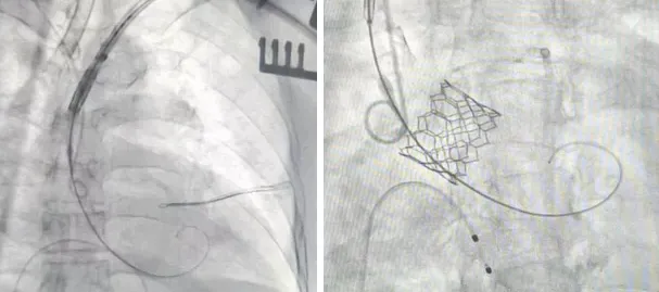 图片2.png 图片2.png