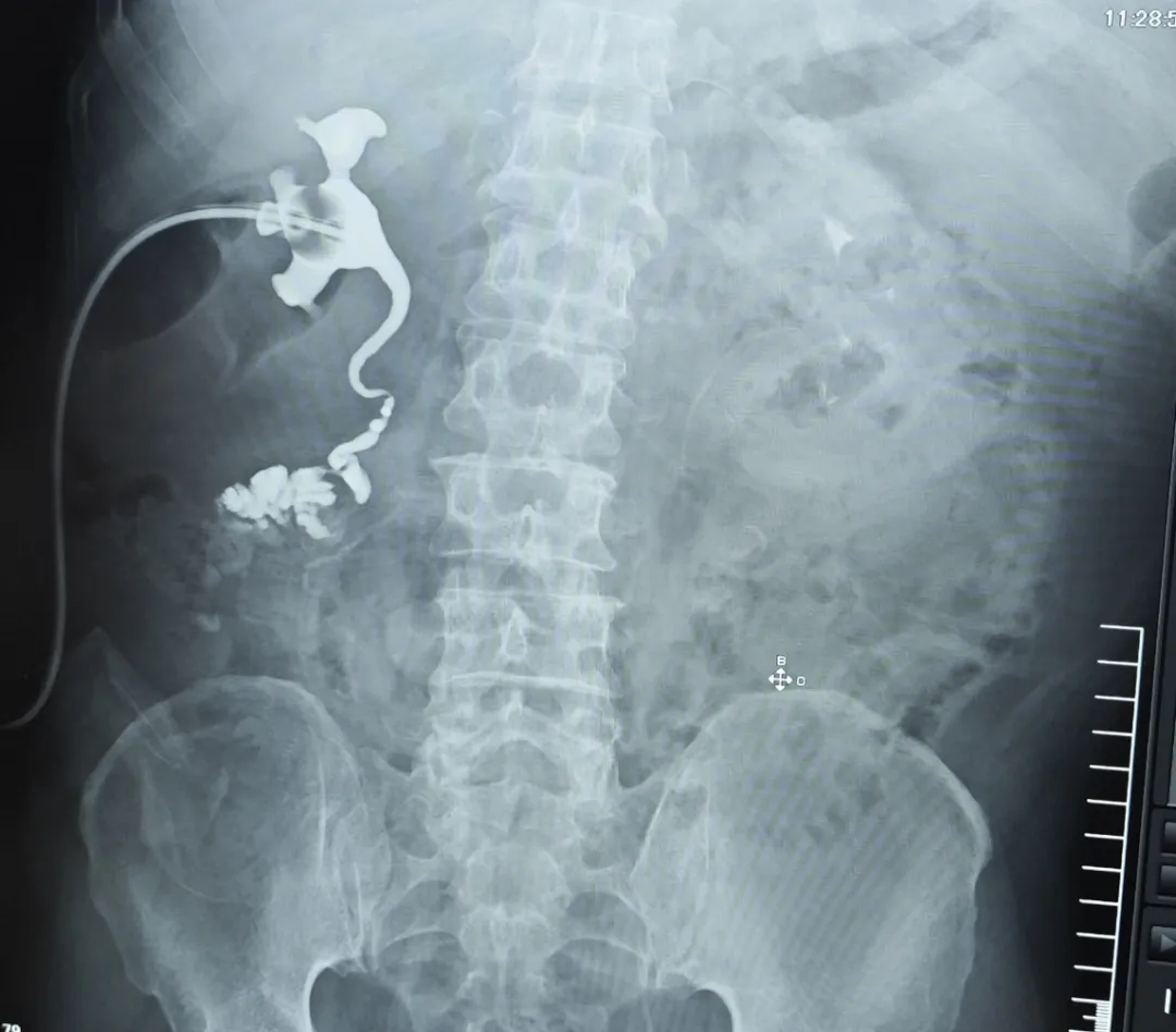 图片1.png 图片1.png