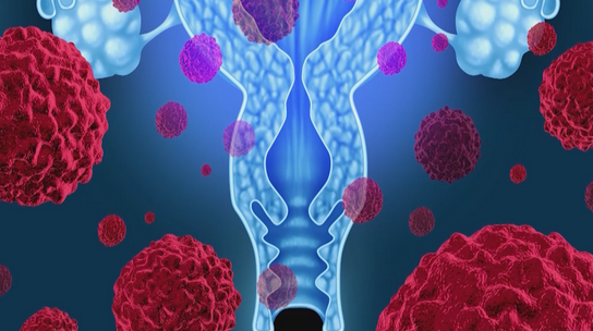 图片.png 图片.png