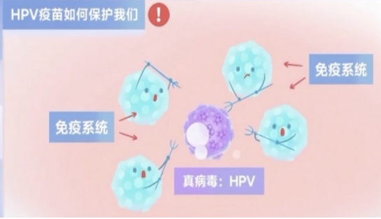 图片.png 图片.png