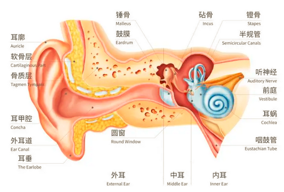 图片.png 图片.png