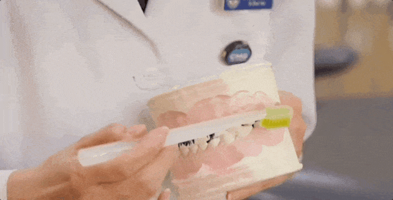 640 (1).gif 640 (1).gif