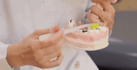 2.gif 2.gif