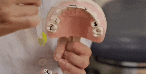 4.gif 4.gif