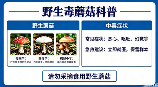 图片.png 图片.png