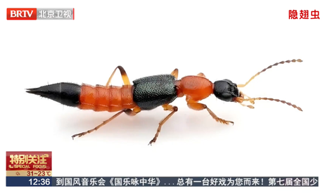 图片.png 图片.png